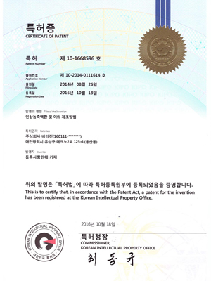 인삼농축액환 및 이의 제조방법2