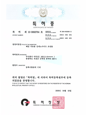 폐암 치료용 진세노사이드 조성물