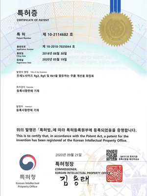 진세노사이드 Rg3, Rg5 및 Rk1을 함유하는 주름 개선용 화장료